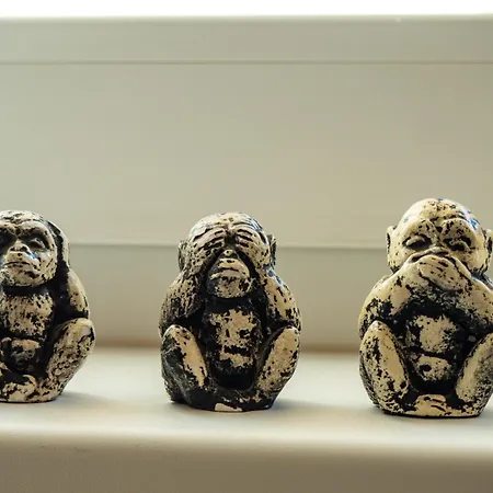 Spacious Cozy Cheyf アパート サラエヴォ