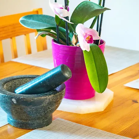 Spacious Cozy Cheyf サラエヴォ